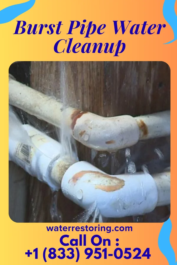 Burst Pipe Water Cleanup in Clayton, MO