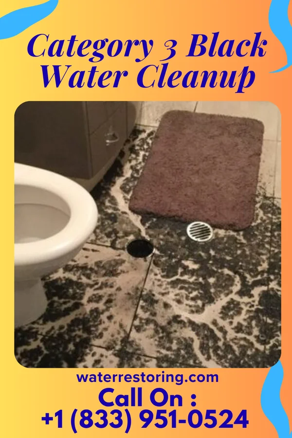 Category 3 Black Water Cleanup in Clayton, MO