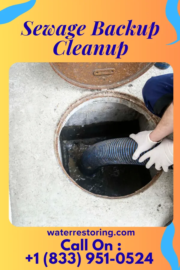 Sewage Backup Cleanup in Clayton, MO