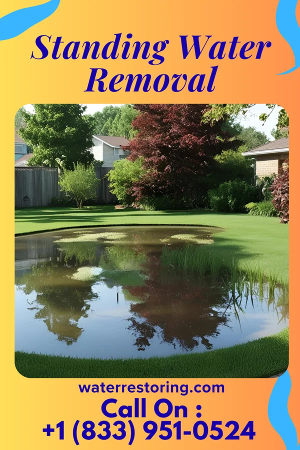 Standing Water Removal in Clayton, MO
